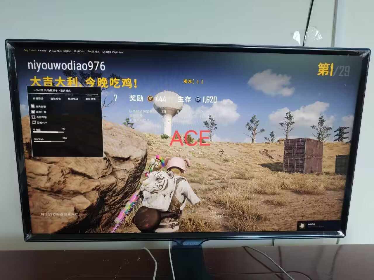 永劫无间ACE辅助